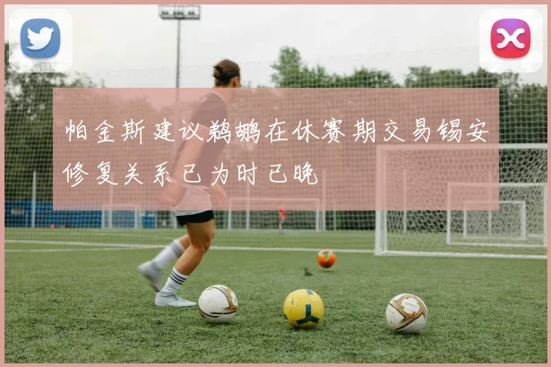 帕金斯建议鹈鹕在休赛期交易锡安修复关系已为时已晚