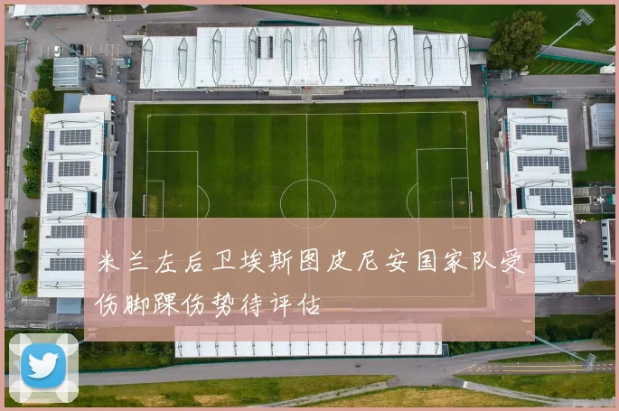 米兰左后卫埃斯图皮尼安国家队受伤脚踝伤势待评估