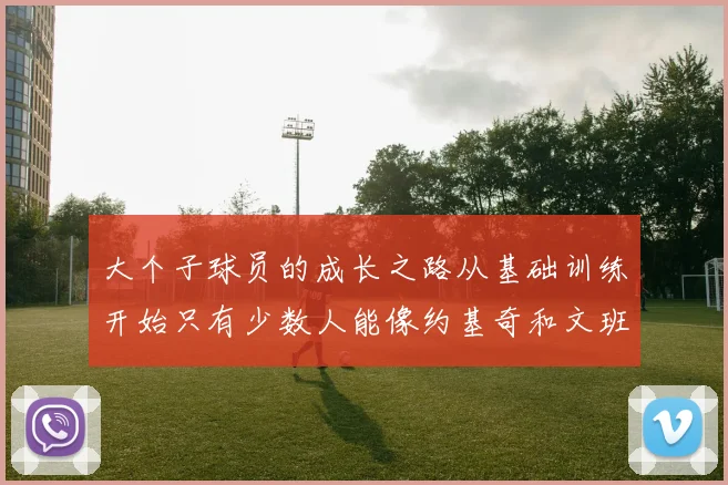 大个子球员的成长之路从基础训练开始只有少数人能像约基奇和文班那样成功
